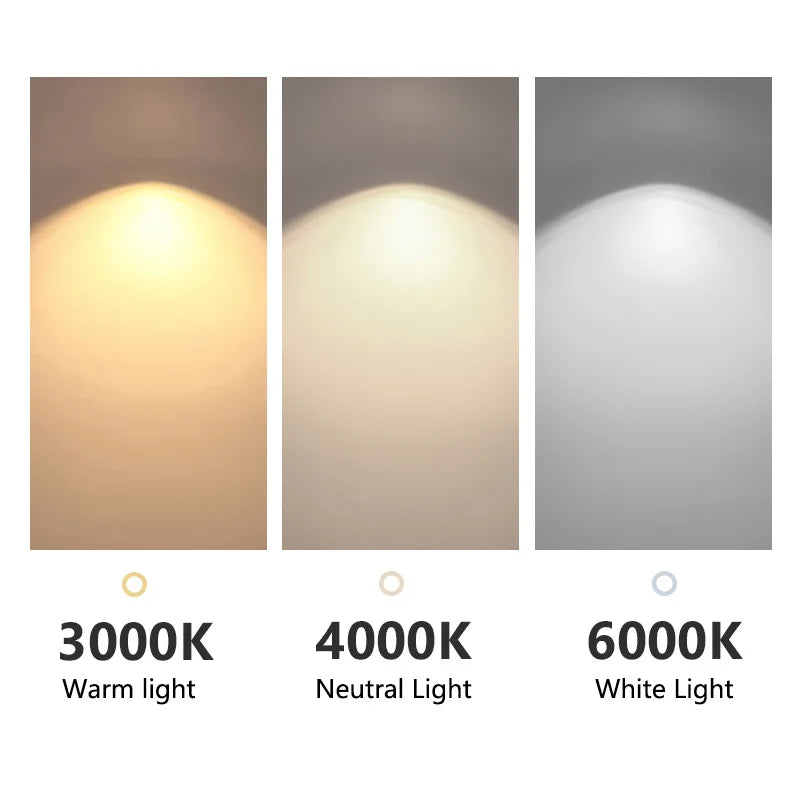 Cloakroom Ceiling Lamp