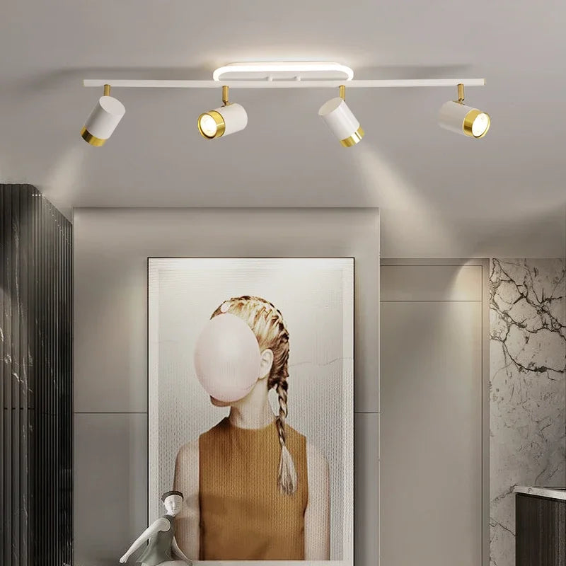 Nordic Spot Ceiling Lamp
