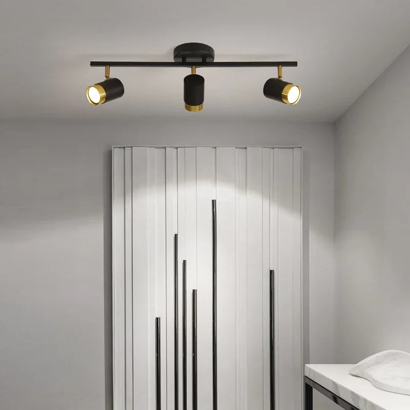 Nordic Spot Ceiling Lamp