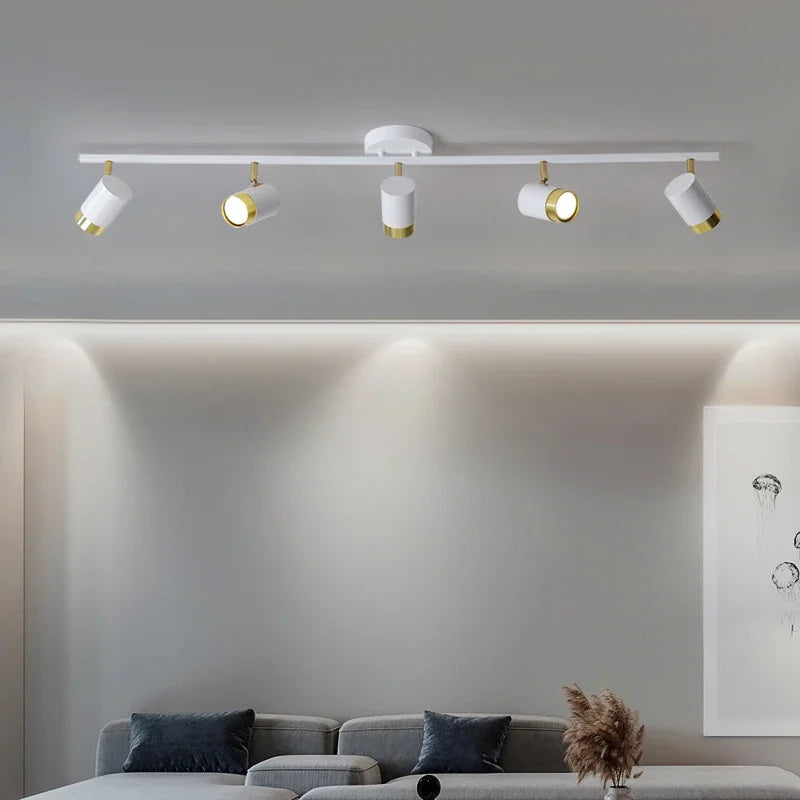 Nordic Spot Ceiling Lamp